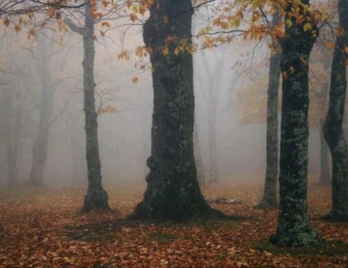 14:35:01 GMT-0600 (CST)