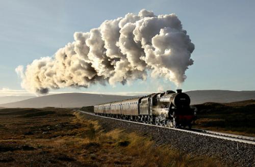 tumblr_m6k87kqg5q1r8ip2fo1_540