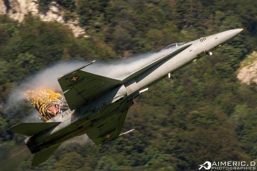 125444832_3427266680656157_6297849165776336206_o