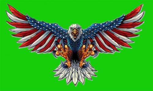 EAGLE-green-bkgd-w