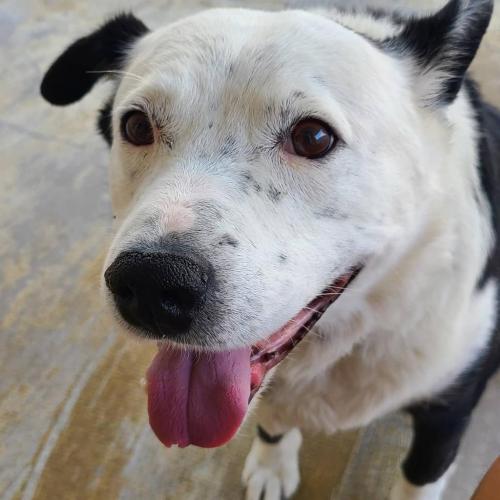 08:59:38 GMT-0800 (PST)