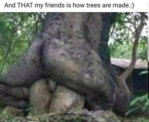 21:09:35 GMT-0600 (CST).image