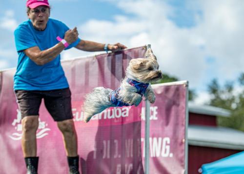 2020/11/4659f89fbad7de3957105ff9d65e52d4