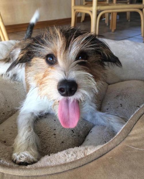 08:19:57 GMT+0100 (WAT).*