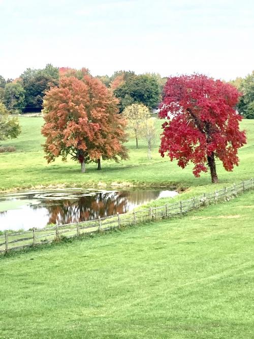 12:44:38 GMT-0500 (EST).image