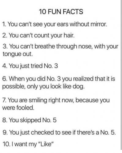 Screenshot_2019-09-12-21-13-34-1