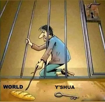 124566005_10164658473230387_880451813009875634_n