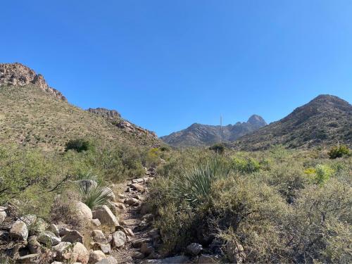 10:08:30 GMT-0500 (EST)