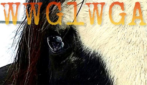 10:02:09 GMT-0800 (PST).image