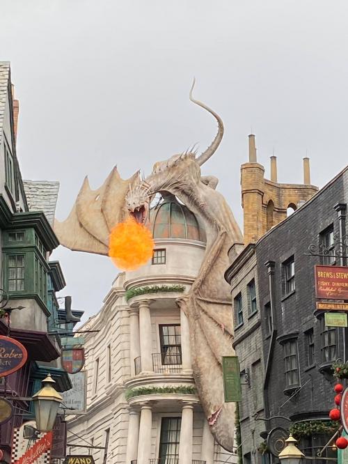 116911344_10157167556492676_7535017792336263645_o