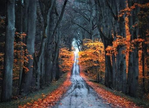 18:20:00 GMT-0500 (EST).image