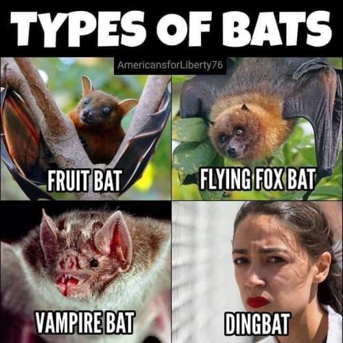BATS