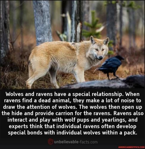 22:22:04 GMT-0600 (CST).image