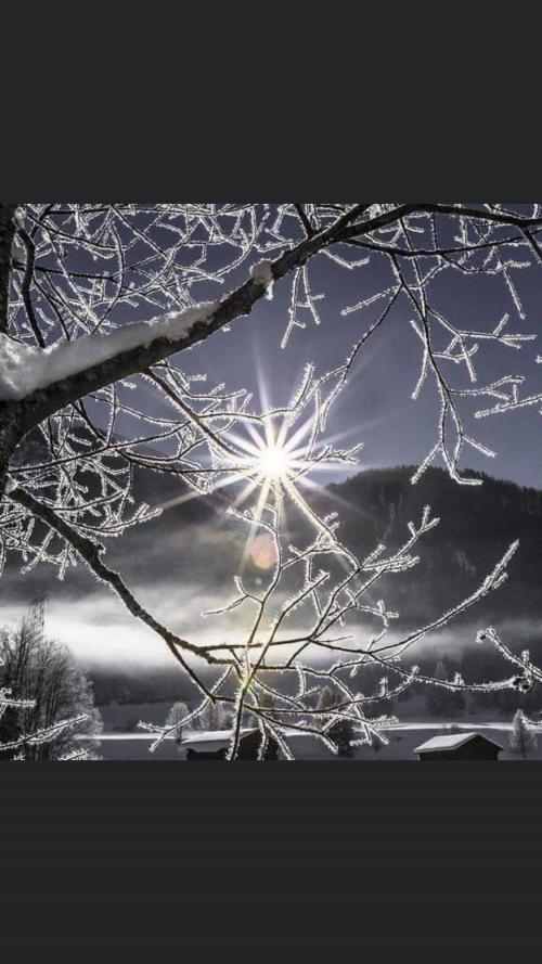 CD1512A6-B2B7-4D07-A6C1-9E11856543F0