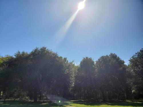 13:49:29 GMT-0600 (CST)