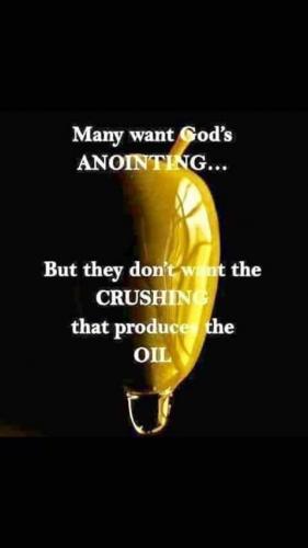 08:19:51 GMT-0500 (EST)