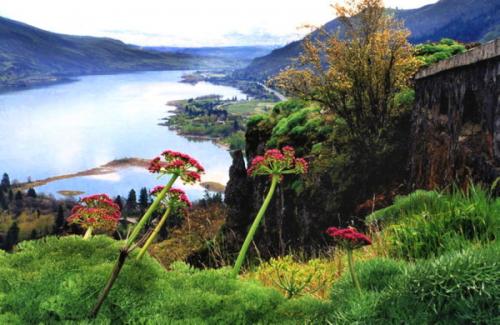 Columbia River Gorge