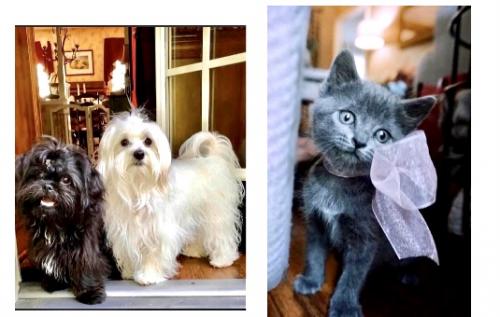 14:04:46 GMT-0600 (CST).image