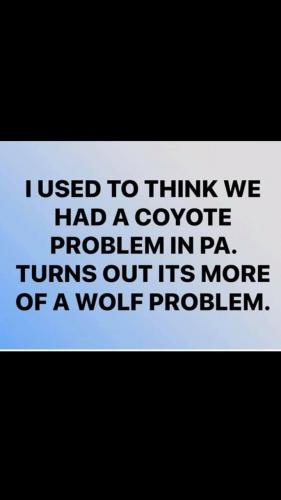 12:49:16 GMT-0500 (EST).image