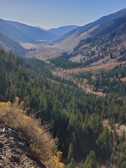 08:33:46 GMT-0700 (MST)