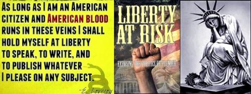 STAND for American Liberty Because at Risk