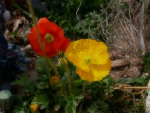 15:13:39 GMT-0800 (PST)