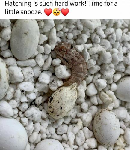 22:21:15 GMT-0500 (EST)