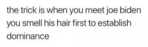 22:17:41 GMT-0600 (CST)