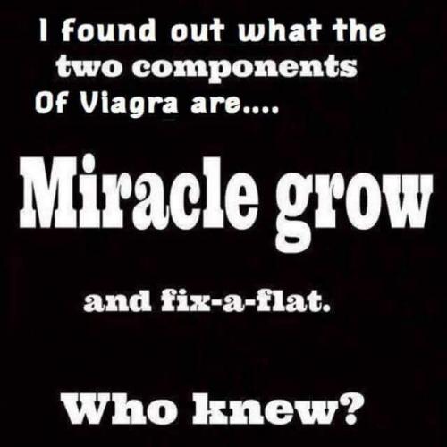 18:17:45 GMT-0600 (CST)