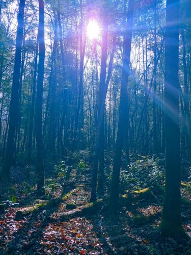 12:38:14 GMT-0500 (EST)