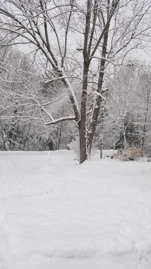 13:16:11 GMT-0500 (EST)