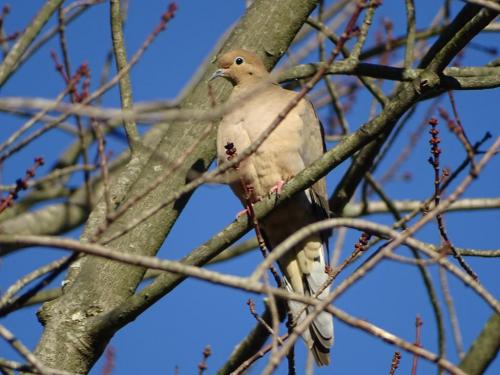 18:00:40 GMT-0500 (EST).image