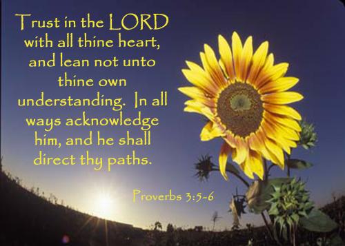 08:31:49 GMT-0500 (EST).image