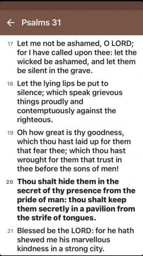 D213FF70-2F02-4AD5-B906-57EF1B035732