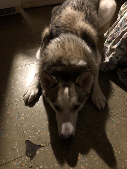 19:58:34 GMT-0500 (EST)