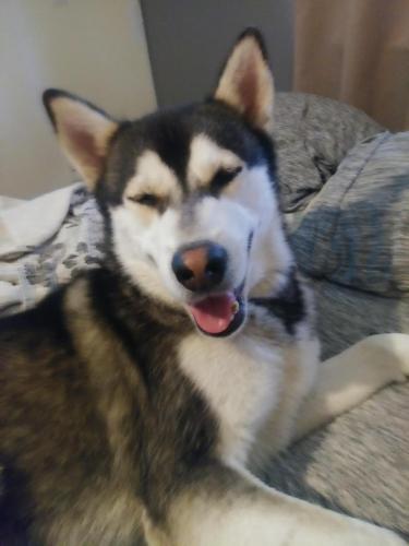 20:46:05 GMT-0600 (CST)