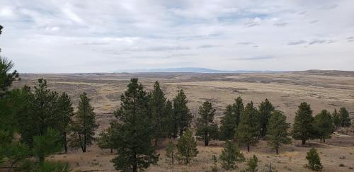 22:00:06 GMT-0700 (MST)