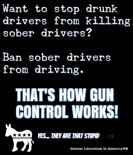 how gun control works