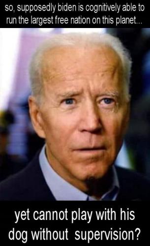 biden233