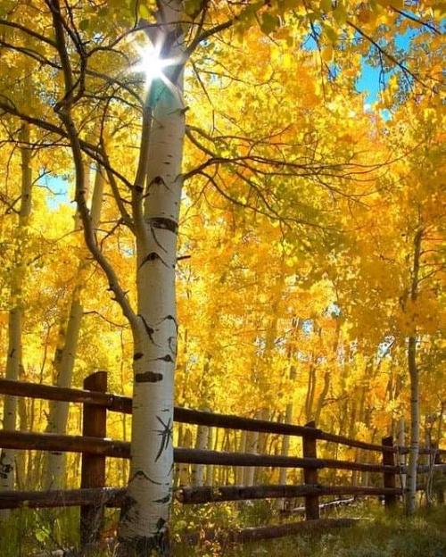 21:32:09 GMT-0700 (MST)