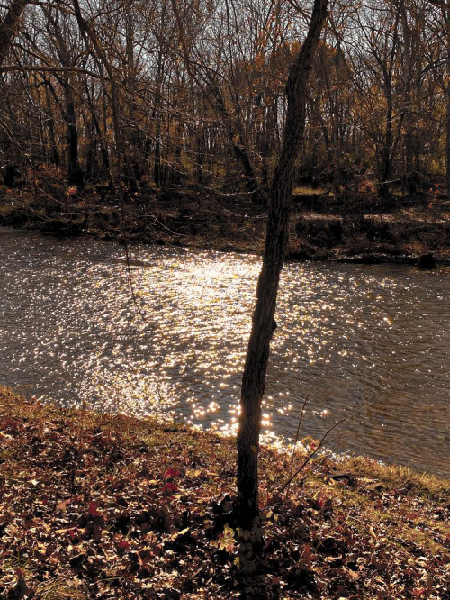 08:23:18 GMT-0500 (EST).image