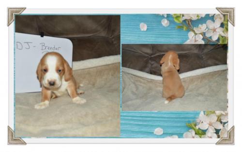 84421792_787601065079474_6454600504537251840_o