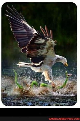 13:36:10 GMT-0600 (CST).image