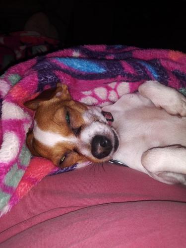 23:08:37 GMT-0500 (EST)