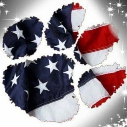 21:04:28 GMT-0500 (EST).image