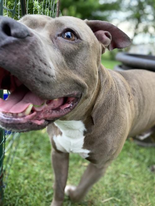 11:28:42 GMT-0500 (EST).image