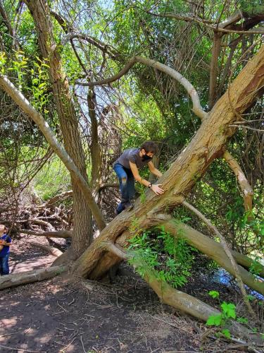 16:01:18 GMT-0800 (PST)