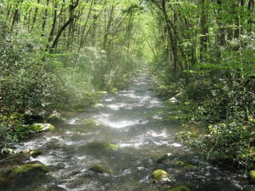 result_1604898870620