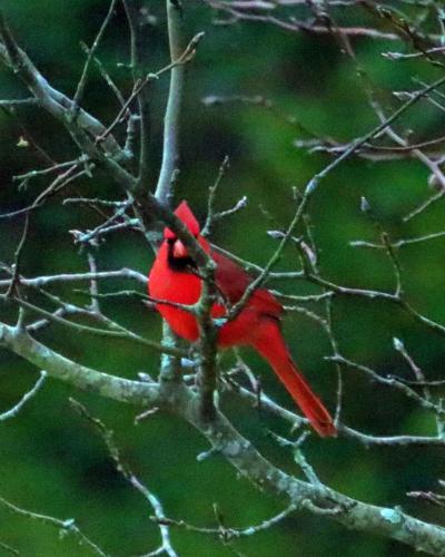 21:29:11 GMT-0600 (CST)