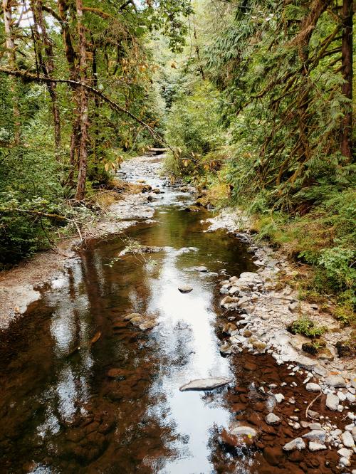 23:49:55 GMT-0800 (PST)